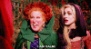 winifred-sanderson-bette-midler-sequel-cant-understand.gif