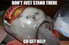 stuck-cat-go-get-help-meme.jpg