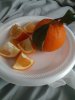 20210110_125757.jpg
