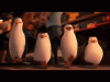 Dancing_Madagascar_Penguins.gif