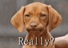 0007290E-3A18-4A88-82C7-ABCC3F934C80.gif