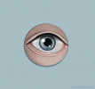3o7btTZu7wIBWHrHDa.gif