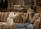 giphy (9).gif