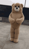 teddy-bear.gif