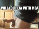 7ED98B61-F6F1-4205-8811-775A9C0E8A9A.gif