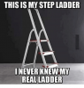 this-is-my-step-ladder-i-never-knew-my-real-13261167.png