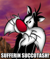 sufferin-succotash.png