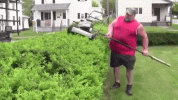k9yS4LbpiVmtG.gif