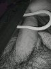 e6033606-bd4c-4546-ba5c-e62c33079b8b.jpg