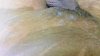 20180605_001152.jpg