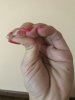 IMG_20171121_113651_421.jpg