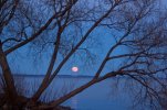 Moonrise over Lake Winnebago.jpg