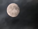 DSCN2963.JPG