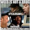 Florist.jpeg