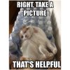 Poor cat.jpg