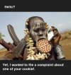 Cookies.jpg