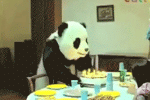 Pandataart.gif