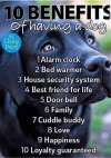FB_IMG_1564348883571.jpg