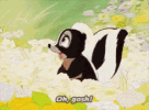 oh-gosh-skunk.gif