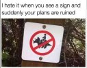 Dinosaur.jpg