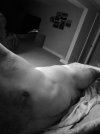 IMG_2574.jpeg