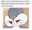 Ruler.jpg
