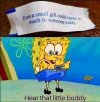 Small.jpeg