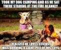 Sticks.jpg
