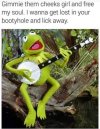 Kermit.jpg