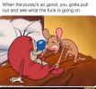 Pussy sogood.jpg