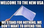 Politically correct.jpg
