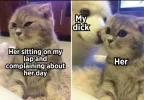 LapDick.webp