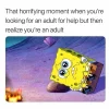 Adult.webp