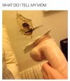 images (43).jpeg