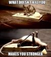 MuscleMouse.jpeg
