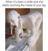 inside.jpg