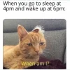 WhenAm.webp