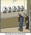 Sheep.jpg