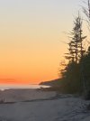 IMG_8220.jpeg