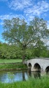 IMG_7197.jpeg