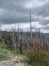 IMG_2399.jpeg