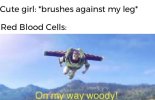 Onmywaywoody.jpg
