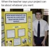 Sawdust.jpg