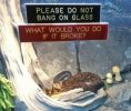 please-do-not-bang-on-glass-would-do-if-broke.jpg