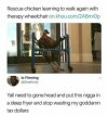 Chicken rescue.jpg