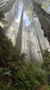 IMG_1516.jpeg
