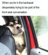 Backseat.jpg