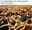Lottery.jpg