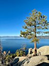 IMG_3835.jpeg