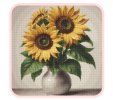 IMG_2153.jpeg